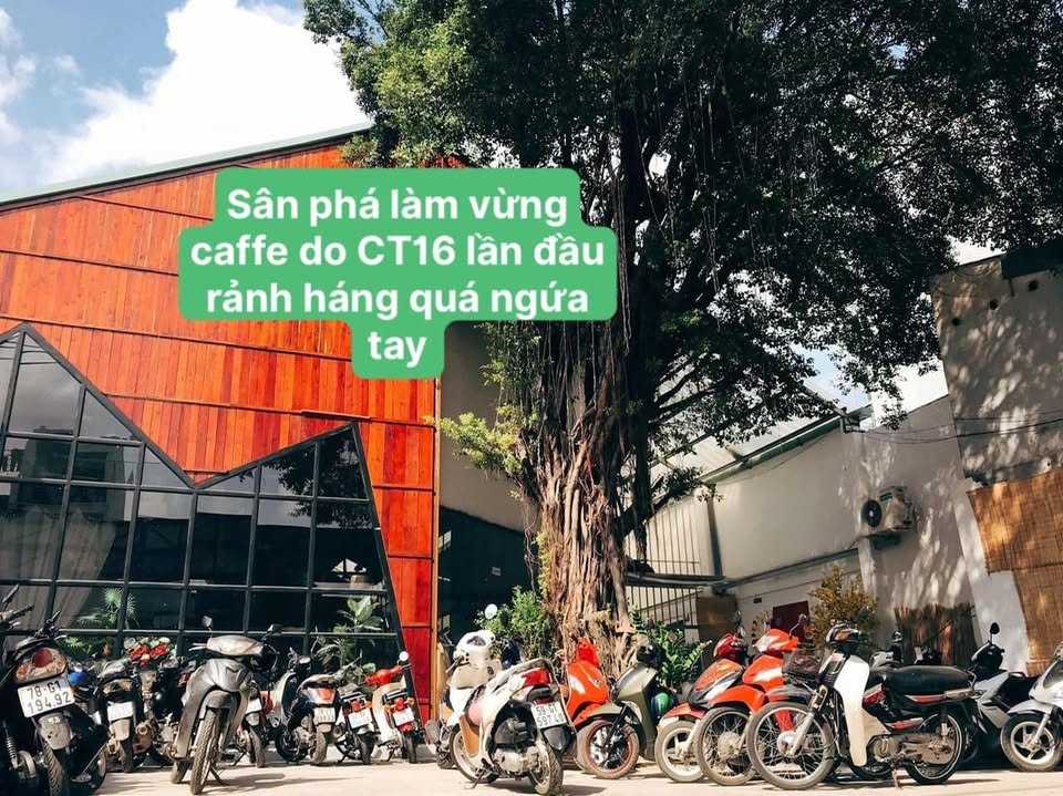 Hình ảnh hoạt động cộng đồng